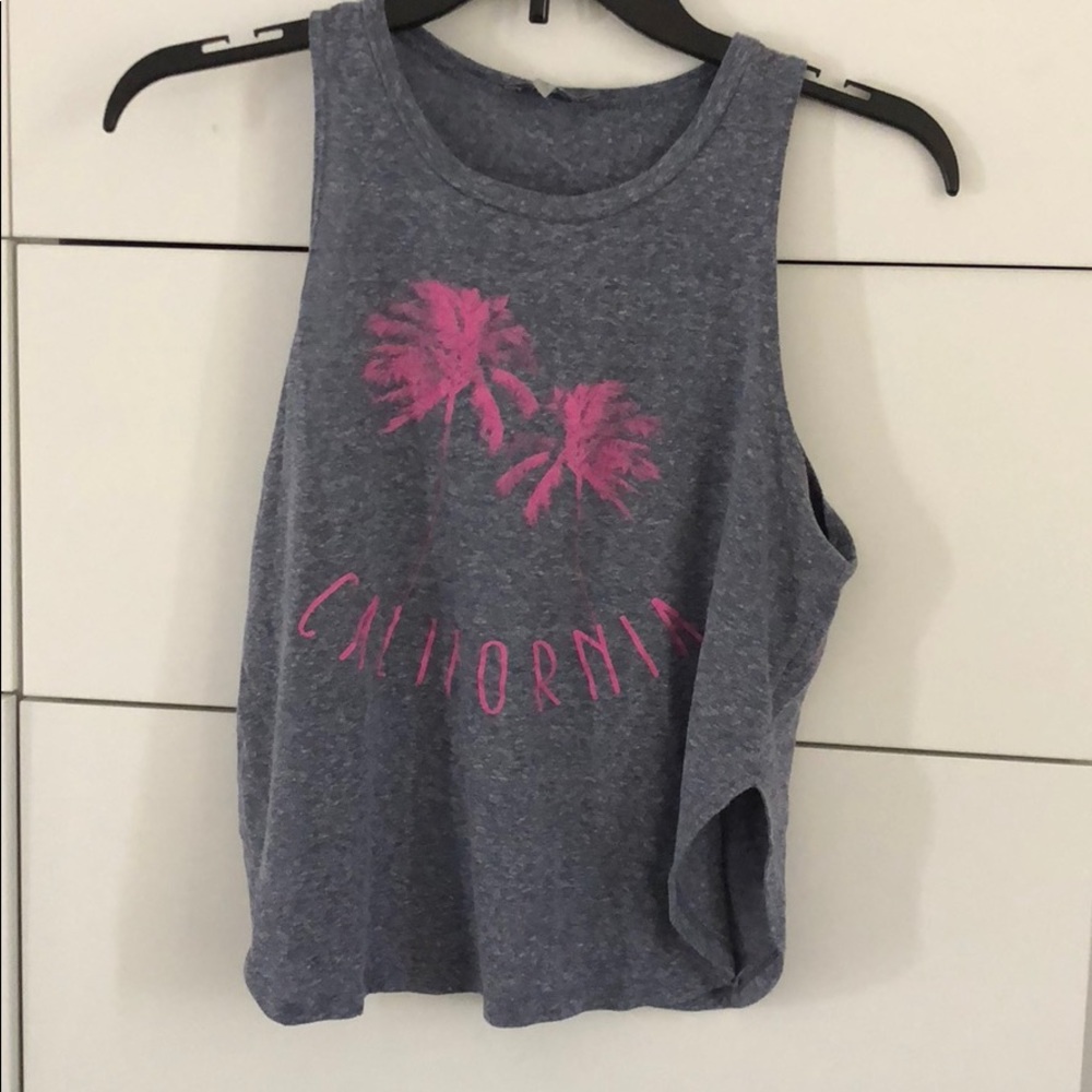 Dolphin cut muscle tank
